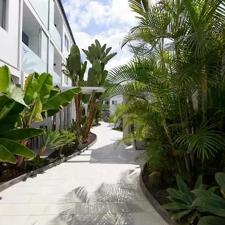 Charming In A Building With A Pool And Terrace Corralejo